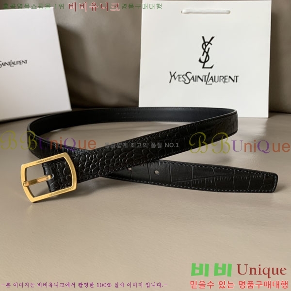 #ζ Ʈ YSL961650-2 (~2.5cm)